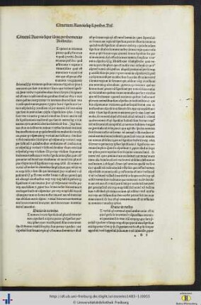 Commentum Auerois