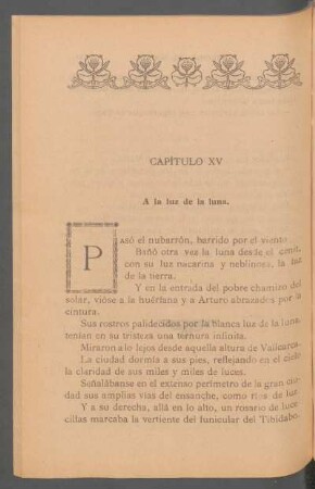Capítulo XV - A la luz de la luna.