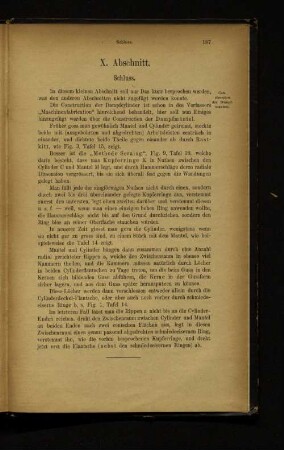 X. Abschnitt. Schluss.