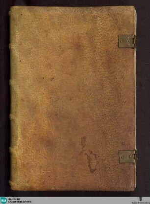 Sermones de tempore per totum annum - Cod. Aug. pap. 26