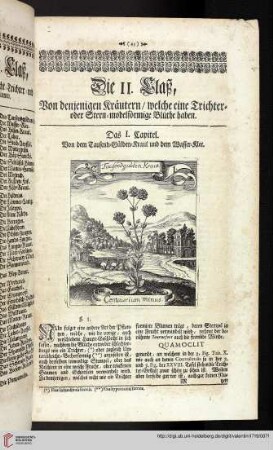Die II. Claß