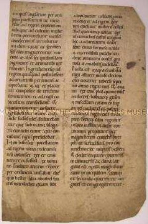 Bibeltext Buch Esther, Altes Testament aus dem 13. Jahrhundert