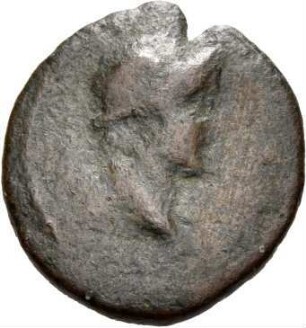 Apameia
