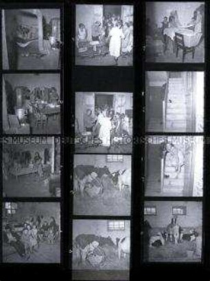 Schwarz-Weiß-Negative mit Aufnahmen von Flüchtlingen bei einer Pockenimpfung in Gorgast/Oderbruch