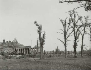 Dresden-Altstadt, Herkulesallee. Großer Garten. Blick nach Norden zur Ruine des Städtischen Ausstellungspalastes