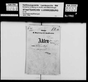 Ortsvorsteher, Allgemeines
