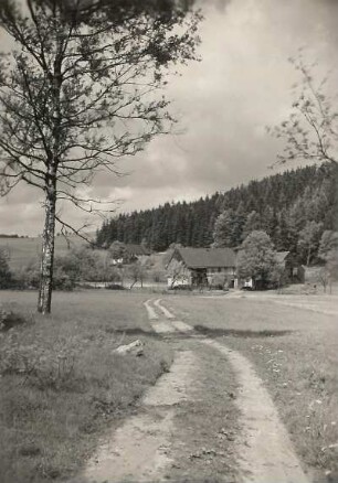Altenberg-Hirschsprung. Feldweg gegen Gehöfte im Tal der Hinteren Biela