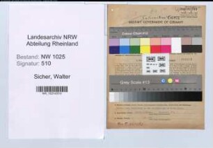 Entnazifizierung Walter Sicher , geb. 14.02.1909 (Musiker)
