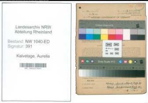 Entnazifizierung Aurelia Kalvelage , geb. 19.03.1892 (Lehrerin)