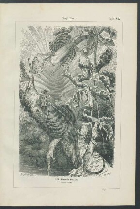 Tafel 85-93. [Reptilien.]