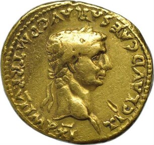 Aureus