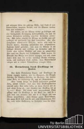 31. Vermehrung durch Stecklinge im Freien.
