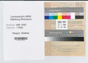 Entnazifizierung Walther Hesper, geb. 22.06.1902 (Kaufm.Angest.)