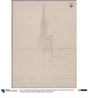 Straßburg. Münster. Seitenansicht des Turms