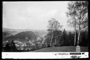 Blick auf Bad Schandau