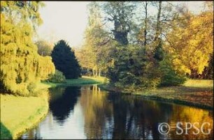 Potsdam, Park Sanssouci, Bullenwiese.