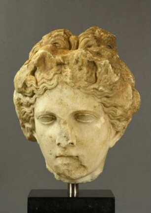 Kopf einer Muse, Typus Thalia
