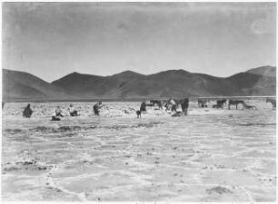 Salzgewinnung in Salinas Grandes bei Tres Morros