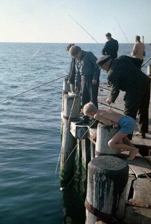 Angler am Hafen