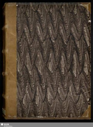 Quattuor evangelia Latine - Mscr.Dresd.A.54