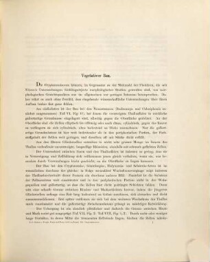 Die Cryptonemiaceen des Golfes von Neapel und der angrenzenden Meeres-Abschnitte : eine Monographie