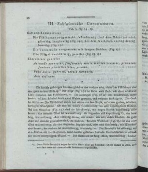 III. Zukfufsmükke Chironomus.