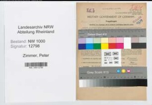 Entnazifizierung Peter Zimmer, geb. 19.01.1900 (Verw.Inspektor)