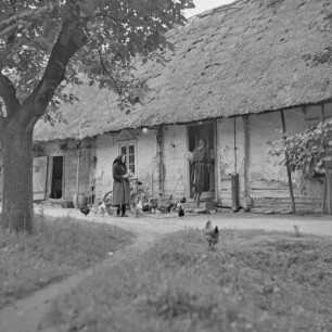 Strohgedecktes Blockhaus in Burg-Kauper. Nowicks Gehöft. : Ze słomu skryte kładźity twar Nowickec statoka w Kupaŕskich Bórkowach.