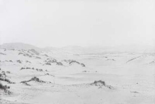 Dünenlandschaft