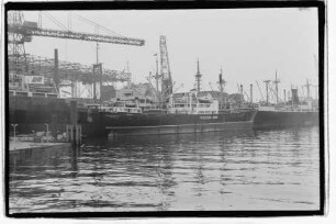 Transquebec (1950), Poseidon Schiffahrt GmbH, Hamburg, Poseidon Schiffahrt F. Ivers & Co. GmbH, Lübeck