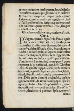 Paulus apostolus purgatorium astruit. Cap. 2.