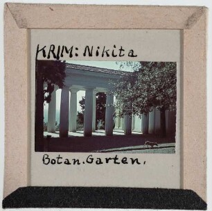 Krim: Nikita, Botanischer Garten (Foto 1942/43)