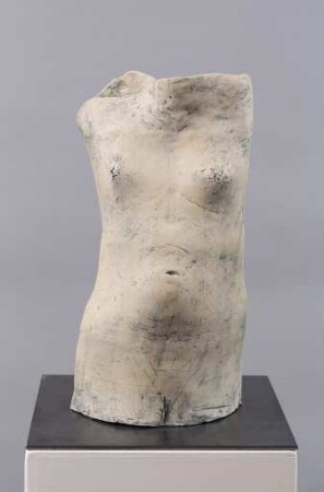 Weiblicher Torso II