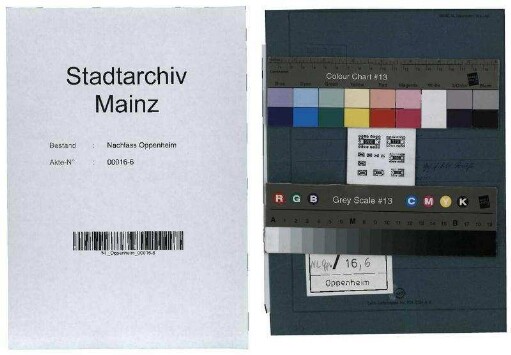 Zweitausend Jahre Mainz: Die Feiern im Jahre 1962, Veröffentlichungen, Theater, Universitätswesen, Vorträge und Ausstellungen, Jüdische Woche