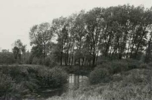 Zur Elster-Luppe-Regelung : Am Zusammenfluß der beiden Luppearme 1 km nördl. v. Gundorf b. Leipzig