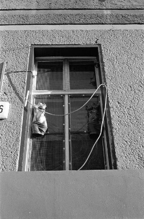 In Berlin-Prenzlauer Berg : In Berlin-Prenzlauer Berg, Schönhauser Allee