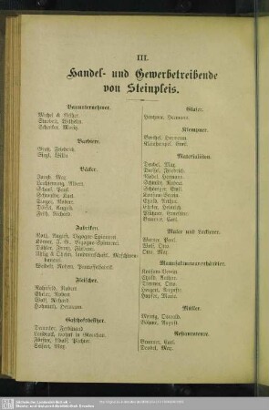 III. Berufsklassen und Gewerbebetriebe : III. Handel- und Gewerbetreibende in Steinpleis