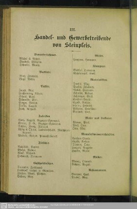 III. Berufsklassen und Gewerbebetriebe : III. Handel- und Gewerbetreibende in Steinpleis