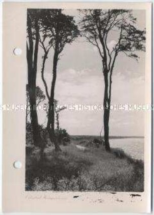 Heiligendamm, Ostsee