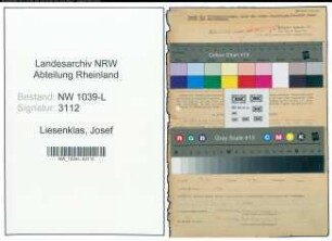 Entnazifizierung Josef Liesenklas , geb. 09.07.1890 (Gemeinderentmeister)