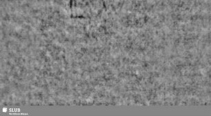 Lilienschild + IESV / LW = S.67/68