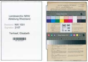 Entnazifizierung Elisabeth Tenhaaf, geb. 16.03.1891 (Kreisfuersorgerin)