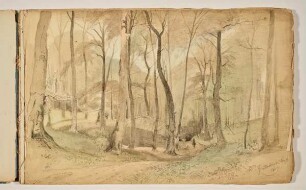 Düsternbrook