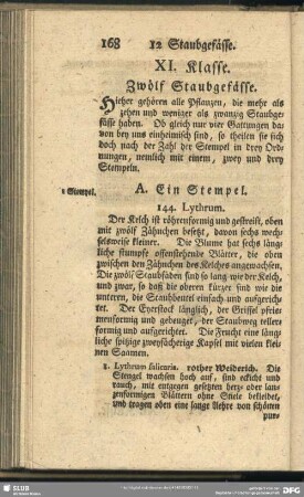 XI. Klasse. Zwölf Staubgefässe