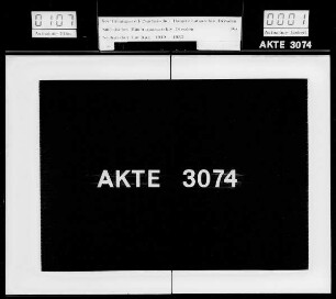 Außerordentlicher Staatshaushaltsplan für 1931