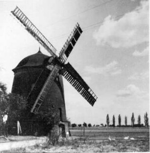 Thallwitz-Canitz. Turmholländer, Repro