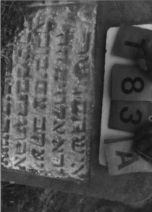Grabstein 183 (Index: 100114663) Material: Sandstein Zustand: leicht verwittert, eingesunken Maße HxBxT: 52x54x10 cm Beschreibung: Stele mit dreigeteiltem Rundbogen: Grabstein 183A