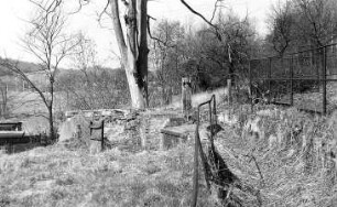 Triebischtal-Munzig. Zugewachsener Mühlgraben der Munziger Mühle