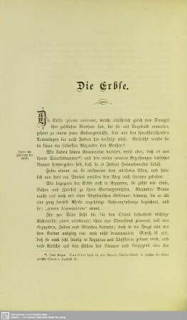 Die Erbse