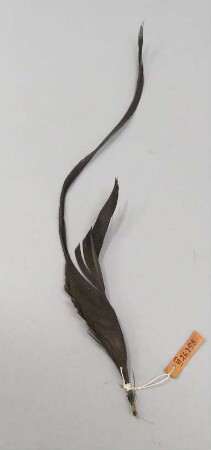 Pinsel
